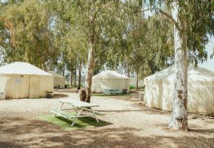 הכפר האינדיאני: מתחם קמפינג קסום בדרום רמת הגולן